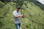 Alex Rayo_300g