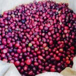 El Buho_300g_espresso