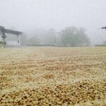 El Buho_300g_espresso