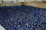El Buho_300g_espresso