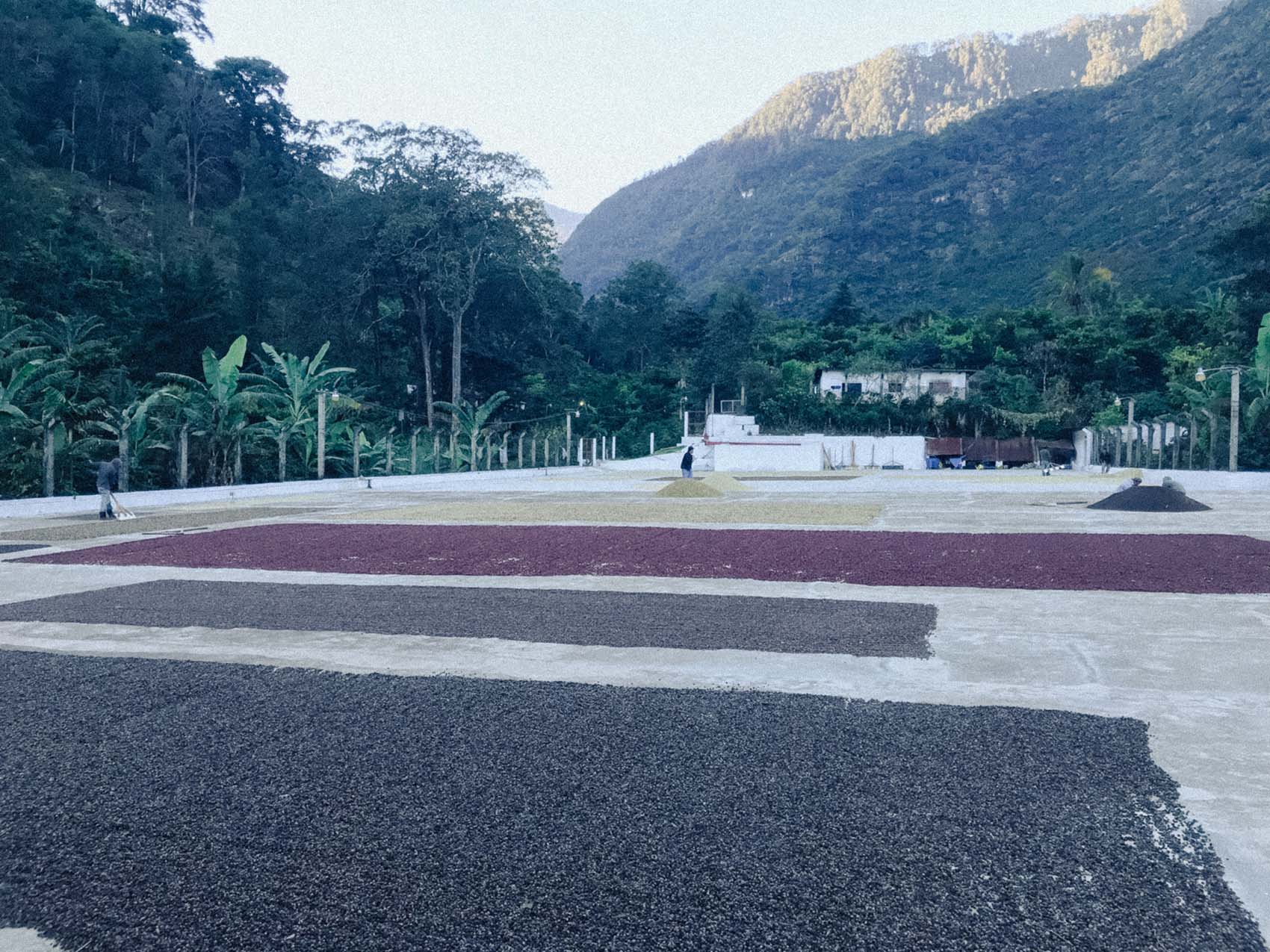 El Buho00010