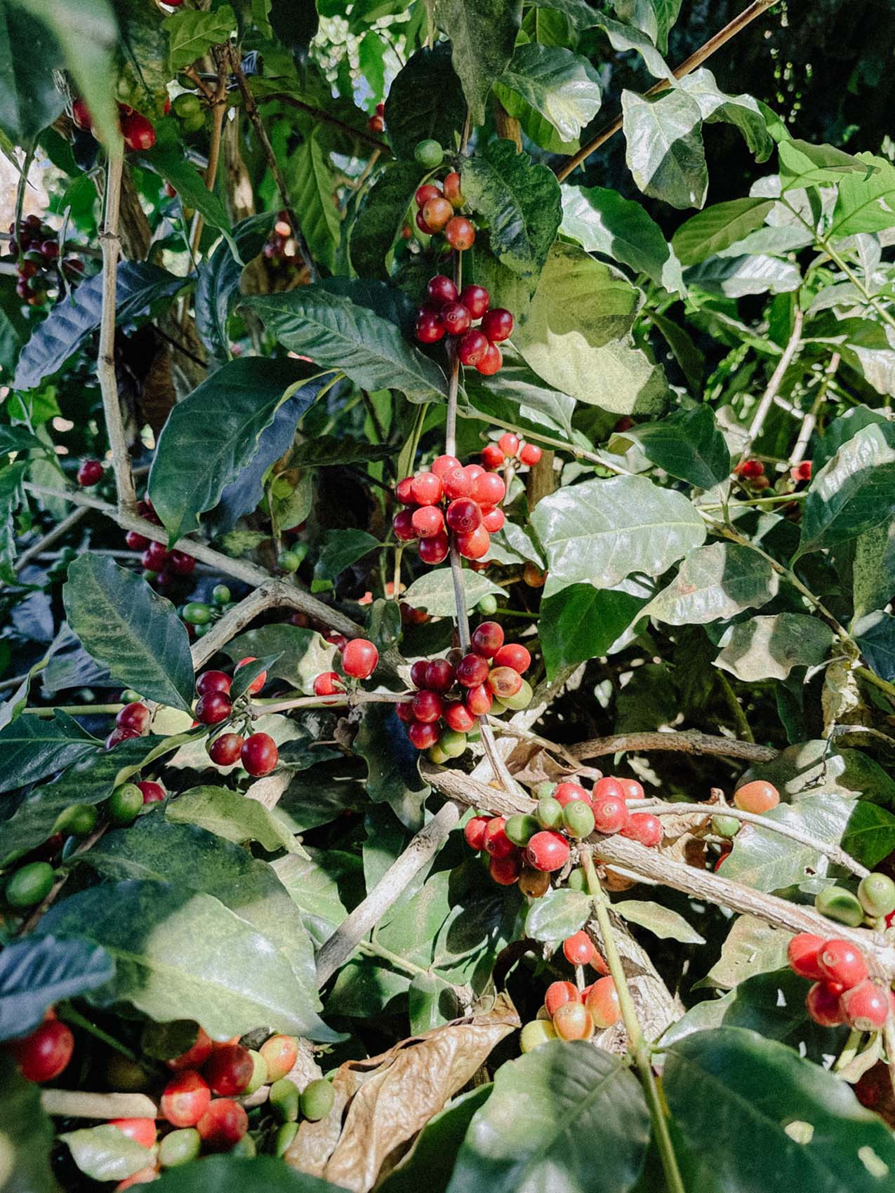 20240108_170903_IMG_4091-2