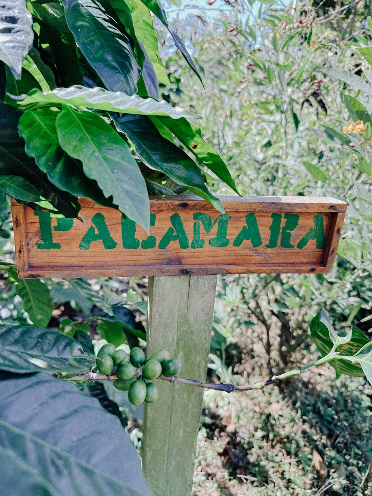 20240108_173956_IMG_4109-2