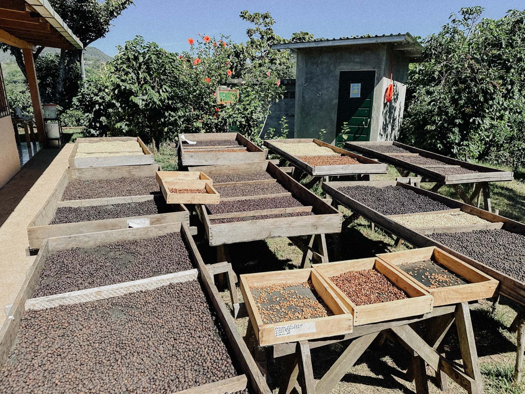 20240108_182039_IMG_4135-2